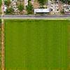 Land Plot